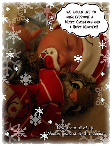 Merry Christmas and a Happy New year Merry Christmas and a Happy New year