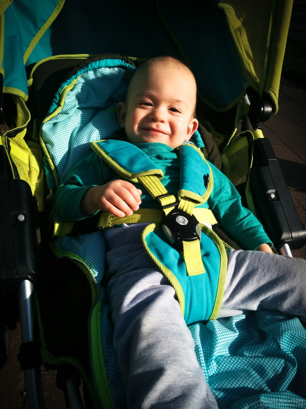 Sunday Walk 365 - March 26, 2017: Sunday Walk Quinn Quinny Wouter walking stroller buggy